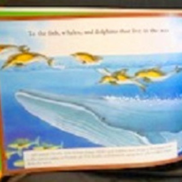 NEW This is Our Earth by Laura Lee Benson Hardcover - Picture 4 of 9